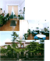 Logo di VILLA PINI sas
