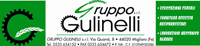 Logo di GRUPPO GULINELLI srl