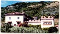 Logo di ANTIGUA ANTICHITA' E RESTAURO