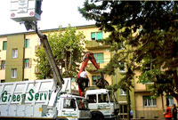 Logo di GREEN SERVICE snc