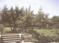 Logo di ARTISTICA 3 GIARDINI
