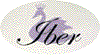 IBER srl