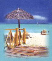 Logo di BALNEARE FIORE