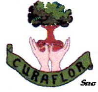 Logo di CURAFLOR