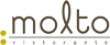 MOLTO