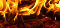 Logo di SERVANT FIRE