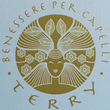 Logo di TERRY ACCONCIATURE