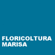 Logo di FLORICOLTURA MARISA