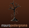 Logo di PEDERGNANA MAURO COSTRUZIONI METALLICHE