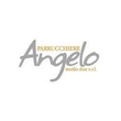 Logo di PARRUCCHIERE ANGELO