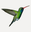 Logo di COPISTERIA LE COLIBRì