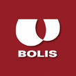 Logo di BOLIS VINI