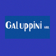 Logo di FERRAMENTA GALUPPINI