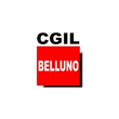 Logo di C.G.I.L. BELLUNO