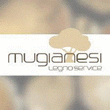 Logo di MUGIANESI LEGNO SERVICE