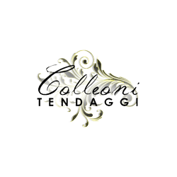 Logo di COLLEONI ANNIBALE TAPPEZZIERE