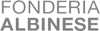 Logo di FONDERIA ALBINESE