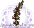 LAVANDA DI VENZONE