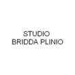 Logo di STUDIO BRIDDA PLINIO