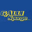 Logo di GALLI SPURGO