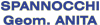 Logo di SPANNOCCHI GEOM. ANITA STUDIO TECNICO