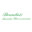 Logo di BREMBATI FIORI