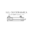 Logo di N.G. DI NADALINI OLEODINAMICA