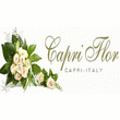 Logo di CAPRI FLOR