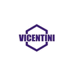 Logo di VICENTINI INFISSI