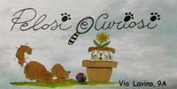 Logo di PELOSI E CURIOSI - TOELETTATURA E TUTTO PER GLI ANIMALI