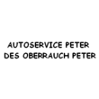 Logo di AUTOSERVICE PETER
