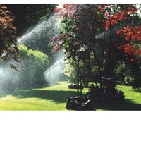 Logo di THE GREEN FINGERS