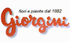 Logo di FIORISTA GIORGINI DANILO - FIORI IN TUTTO IL MONDO