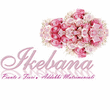 Logo di IKEBANA FIORI