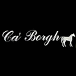 Logo di AGRITURISMO CA'BORGH