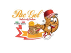 Logo di PAC GEL SAS