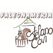 Logo di FALEGNAMERIA COVI STEFANO