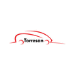 Logo di AUTOFFICINA AUDI E VOLKSWAGEN TORRESAN LIVIO E C.