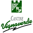 Logo di CANTINE VIGNA VERDE SRL