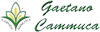 Logo di AZIENDA AGRICOLA CAMMUCA GAETANO