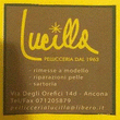 Logo di PELLICCERIALUCILLA