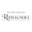 Logo di CANTINA ROMAGNOLI
