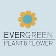 Logo di EVER GREEN