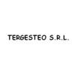 Logo di TERGESTEO