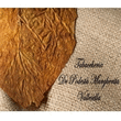 Logo di EDICOLA TABACCHERIA DE PODESTà MARGHERITA