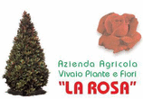 Logo di VIVAIO LA ROSA