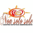Logo di NON SOLO SOLE