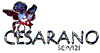 Logo di CESARANO NICOLA POMPE FUNEBRI PICCOLA SOC.COOP.R.L.