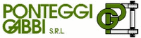 Logo di PONTEGGI GABBI