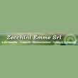 Logo di ZECCHINI EMME